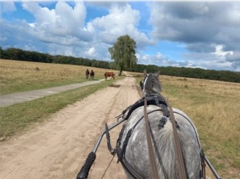 Gezellige midweek Blesruitermenners in Otterlo op de Veluwe